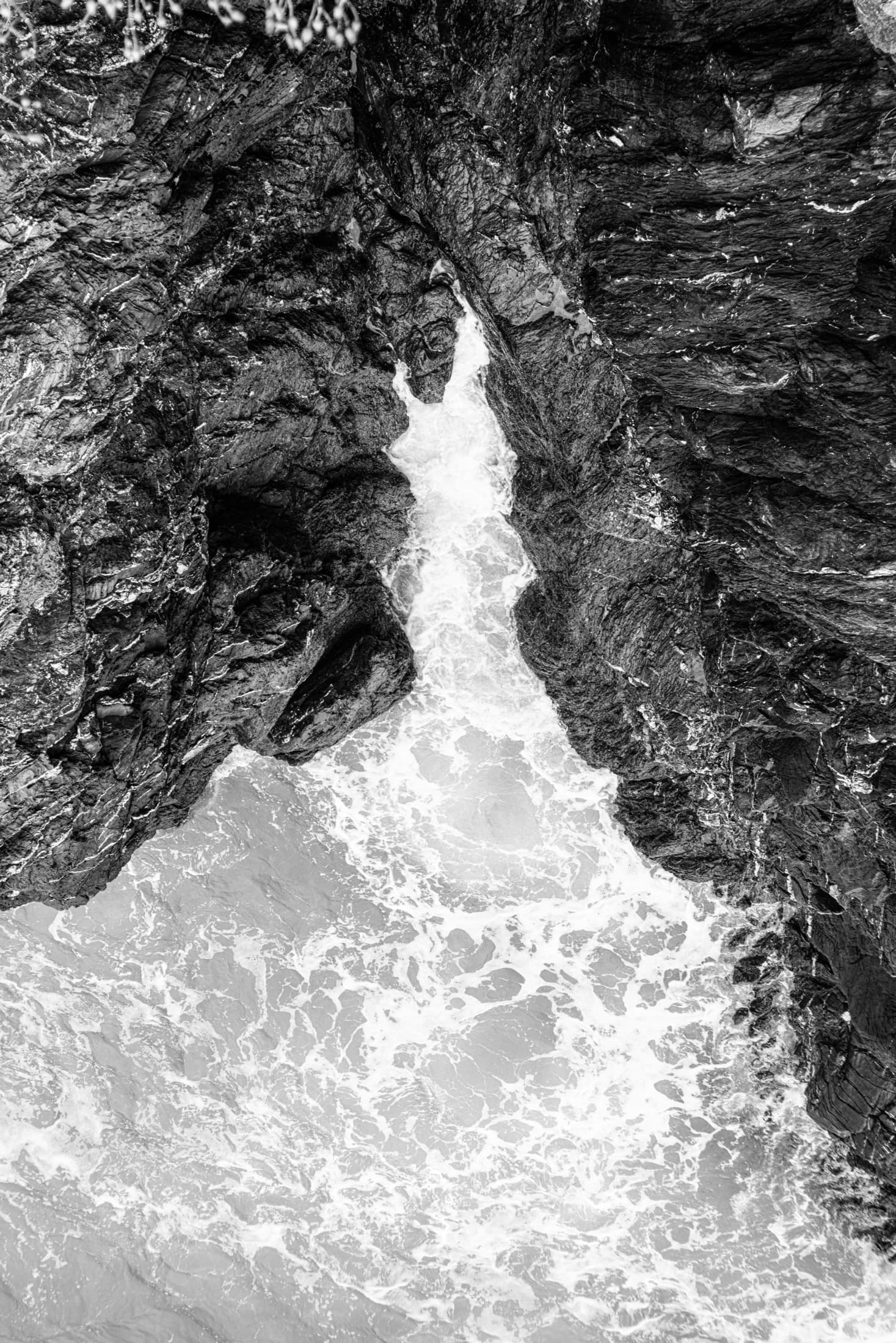 Cleft