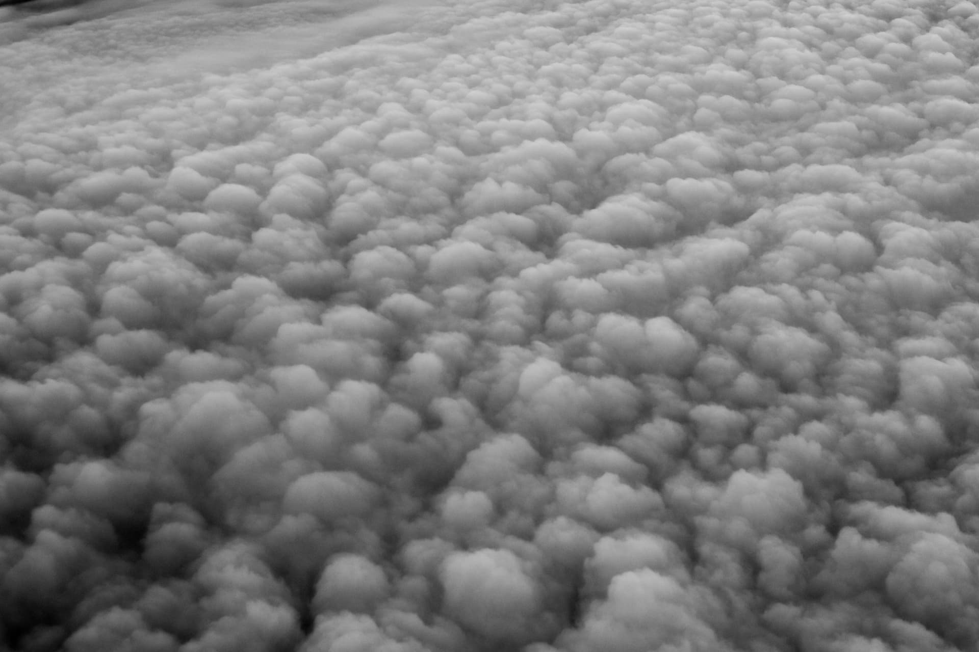 Cloud Field