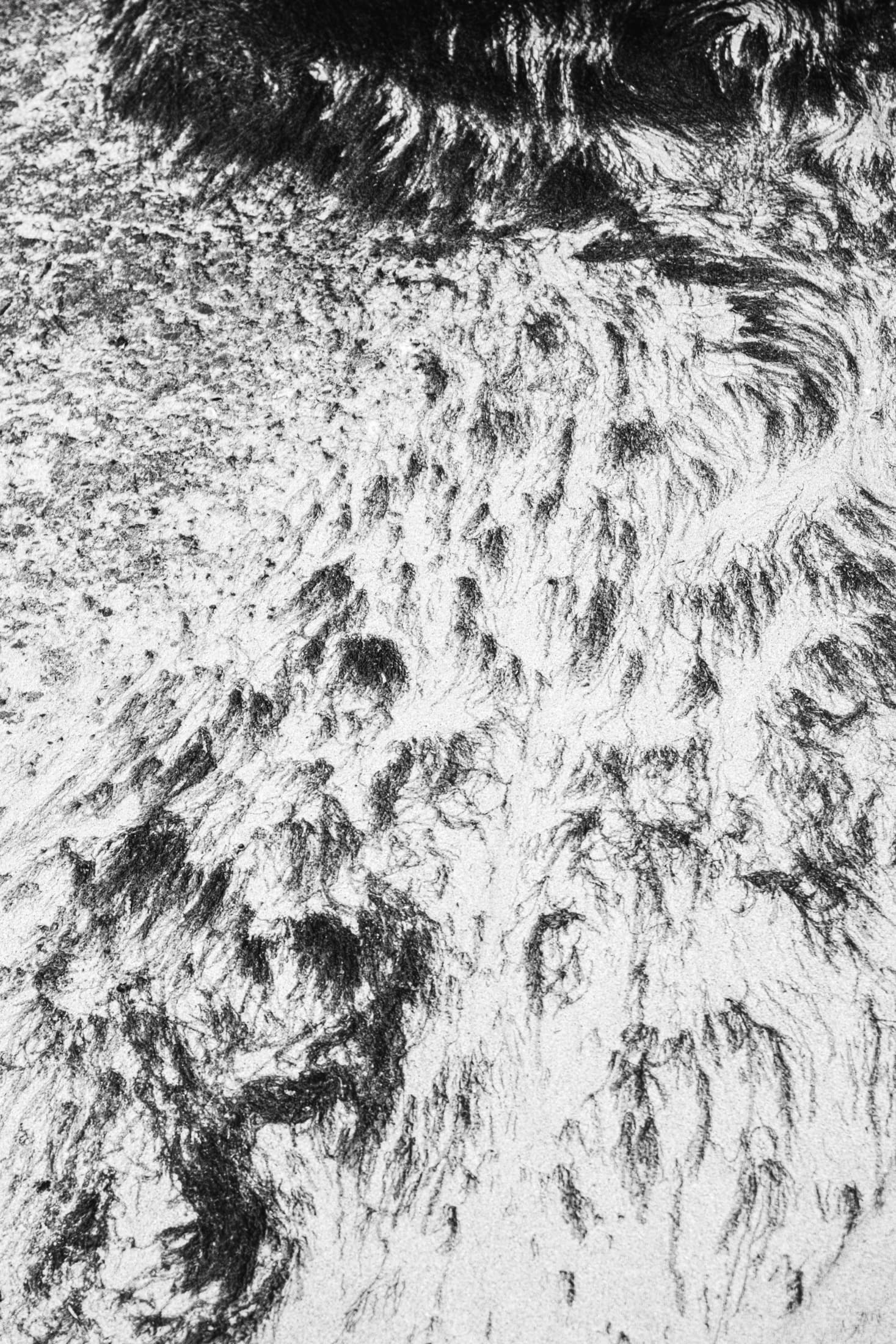 Undertow